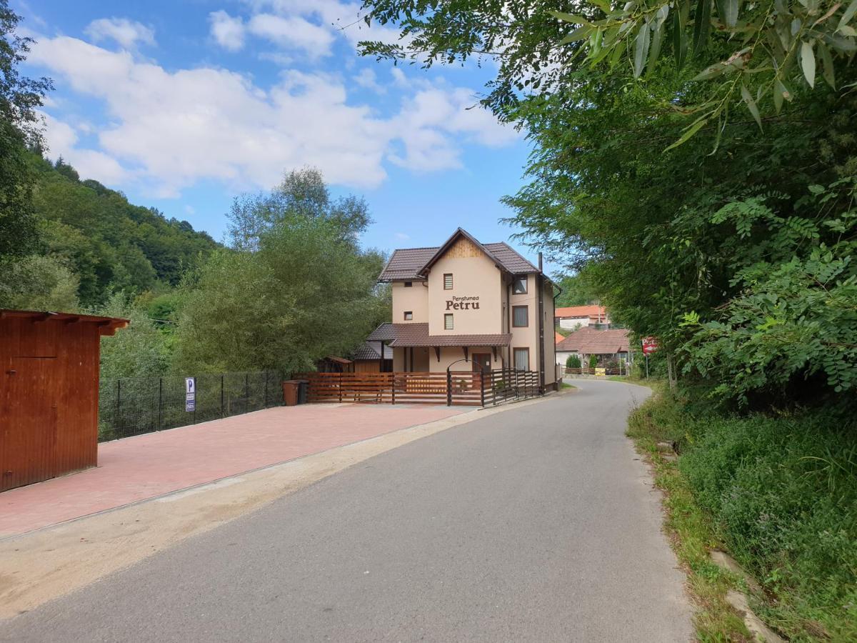 Pensiunea Petru Sugag Exterior photo